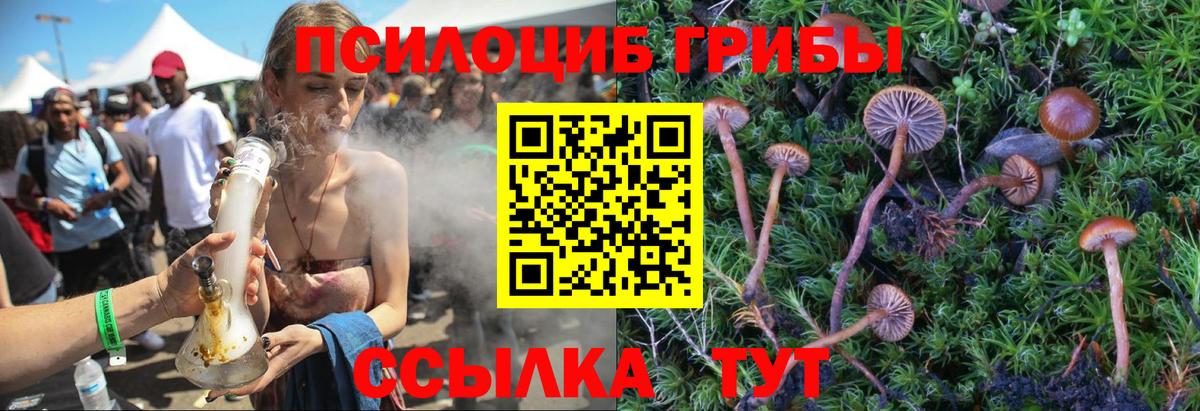 Назарово  Галлюциногенные грибы Psilocybine cubensis  Вход с VPN 
